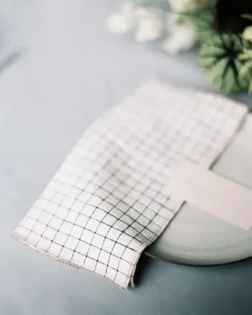 theeverydaynapkin slider 1